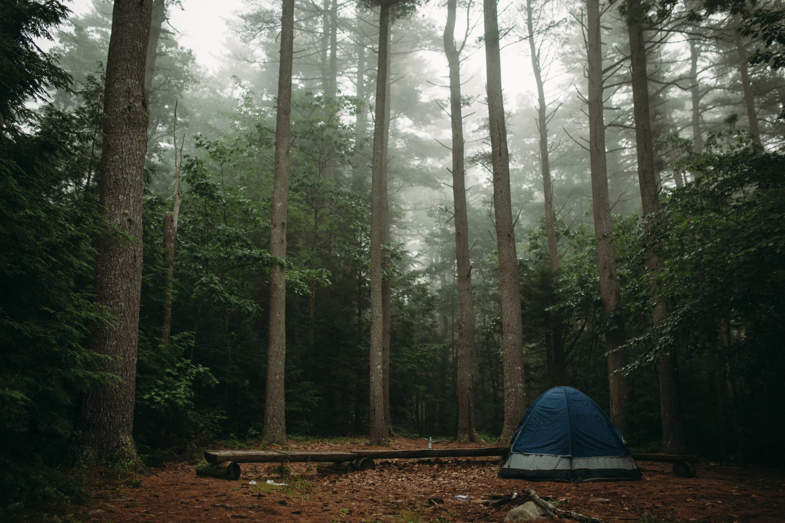 Campout New England X Vol IGhreg and I made a pact to camp in every New England state so we started with Maine and found an awesome camping spot.