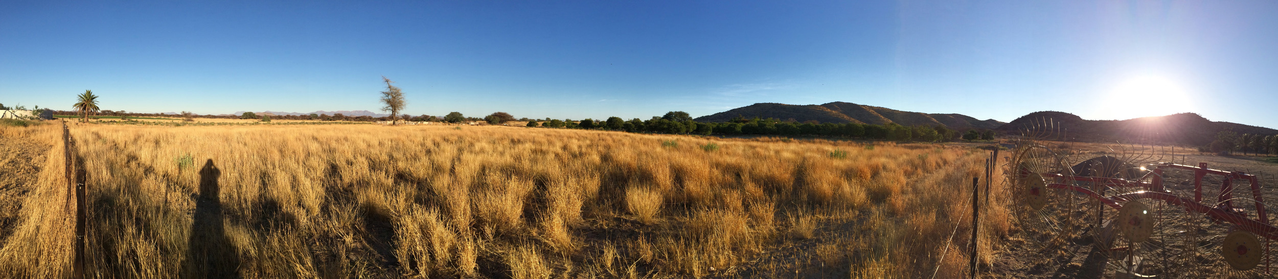 Field trial field