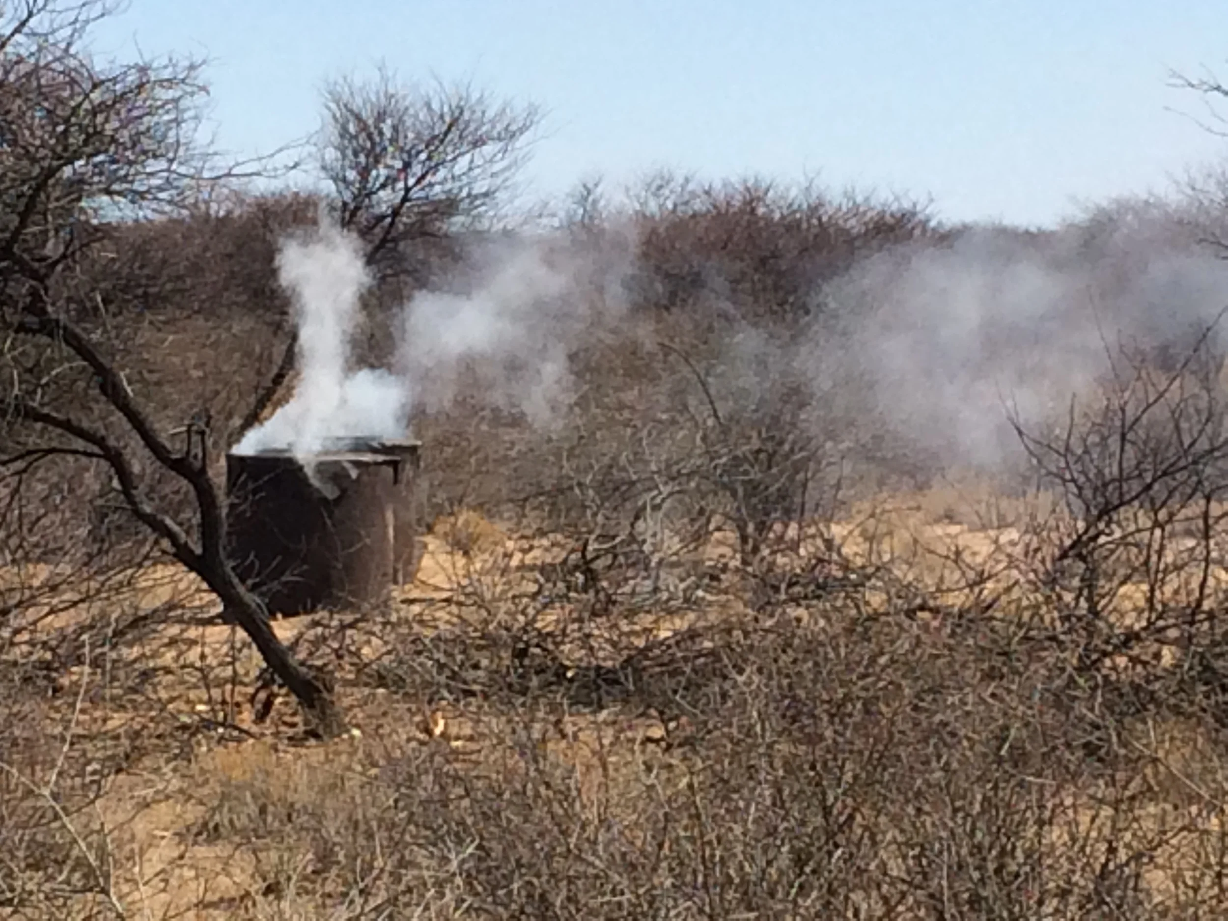 Traditional kiln pyrolysing the invasive bush wood you see around it. Note that it is very smoky. 