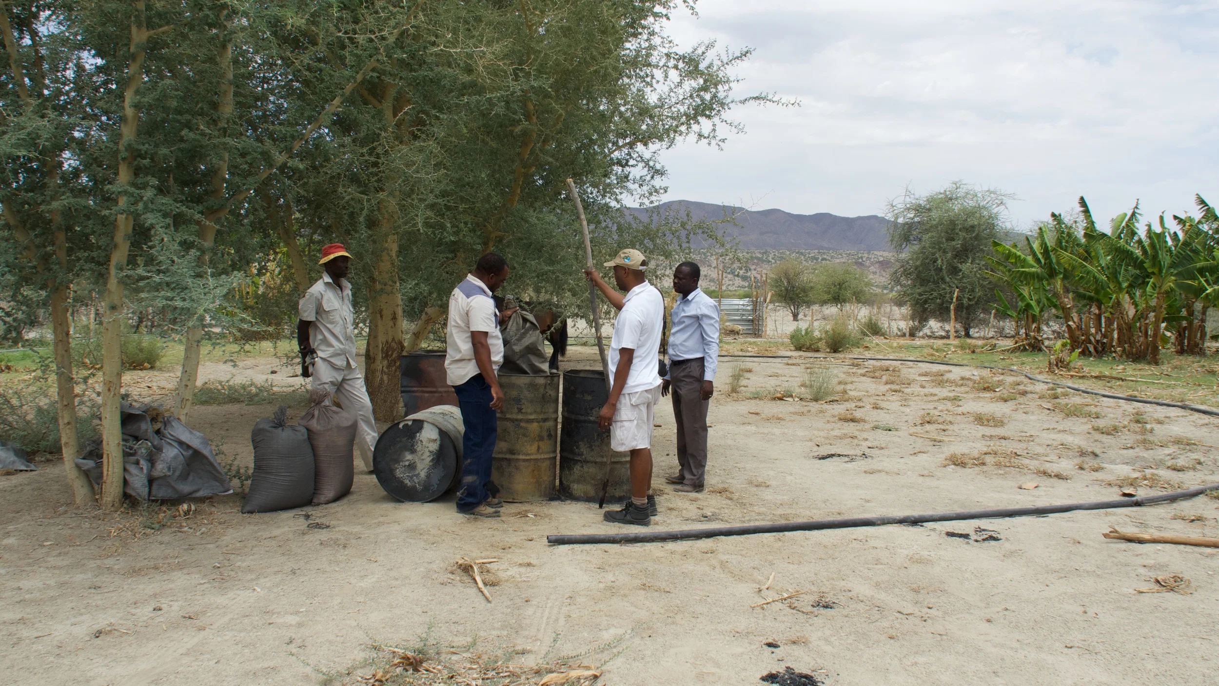 Charging biochar with manure tea before application at Warmquelle