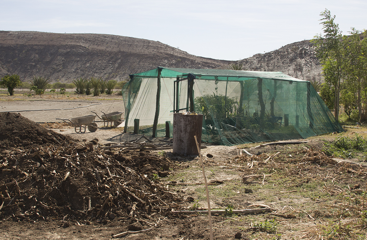 Composting at Warmquelle