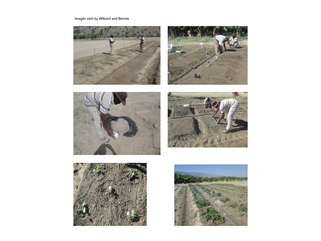 Wilbard and Bennie preparing field trials. Click to expand.