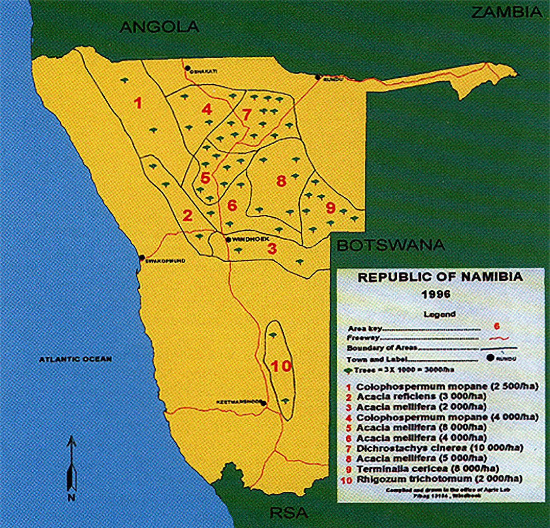Density of invasive bush species