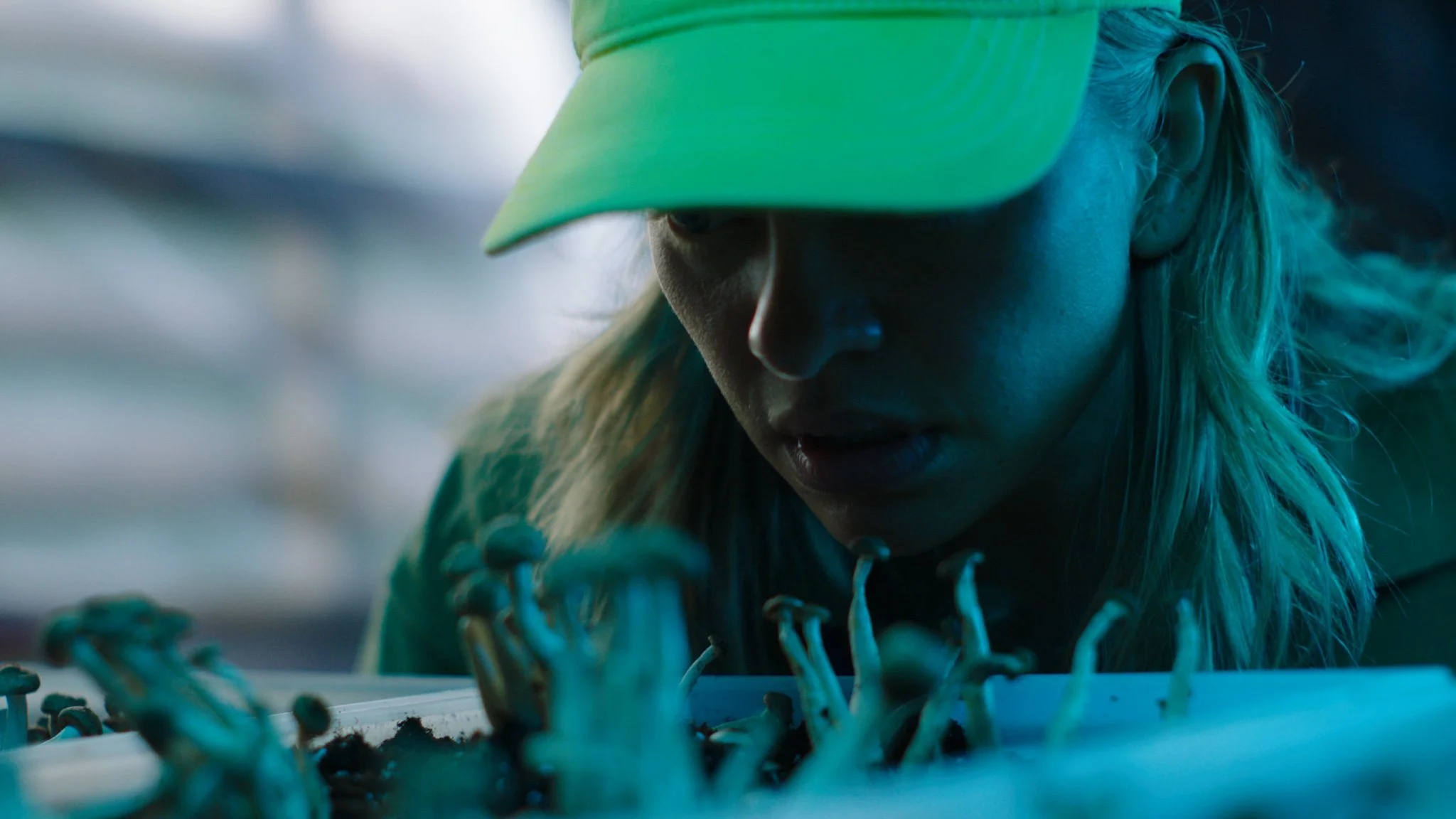 Moonshine | Seizoen 2 | Trailer | Serie | Streamz