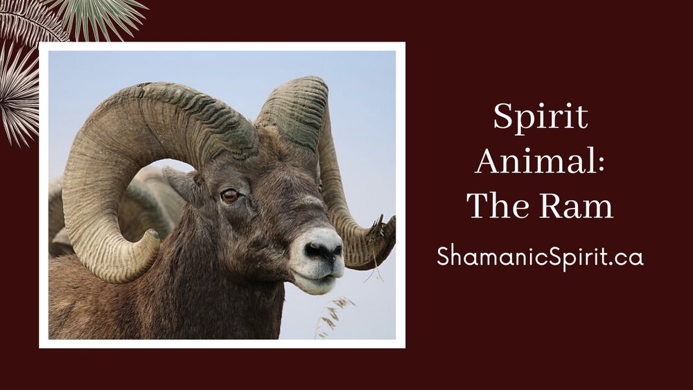 Animal Spirit Guide: The Ram (Shamanic Power Animal) — Shamanic Spirit