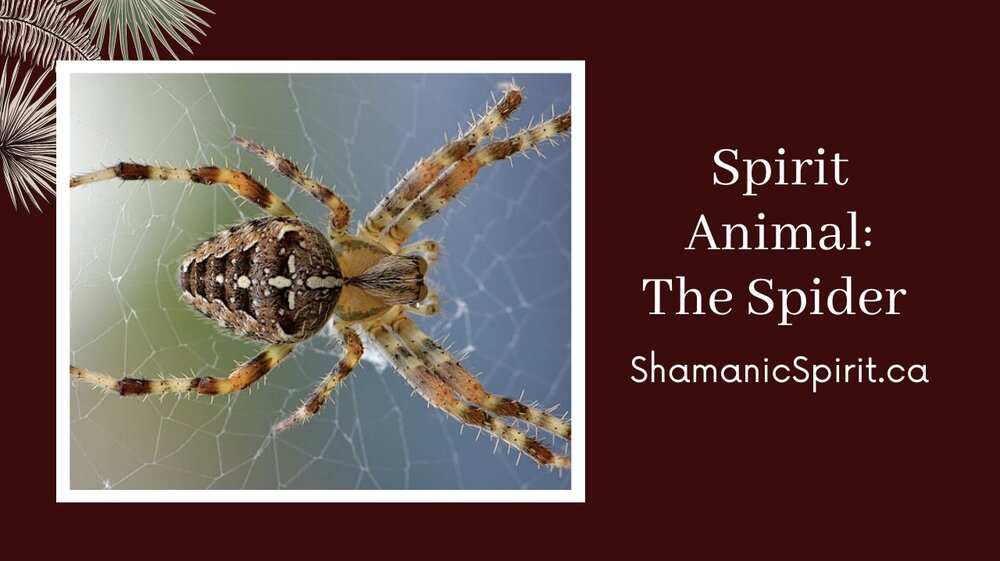 Animal Spirit Guide: The Spider (Shamanic Power Animal). Spider Symbolism —  Shamanic Spirit