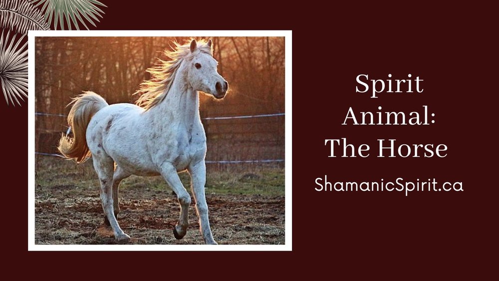 Animal Spirit Guide: The Horse (Shamanic Power Animal). Horse Symbolism. Horse  Totem. — Shamanic Spirit