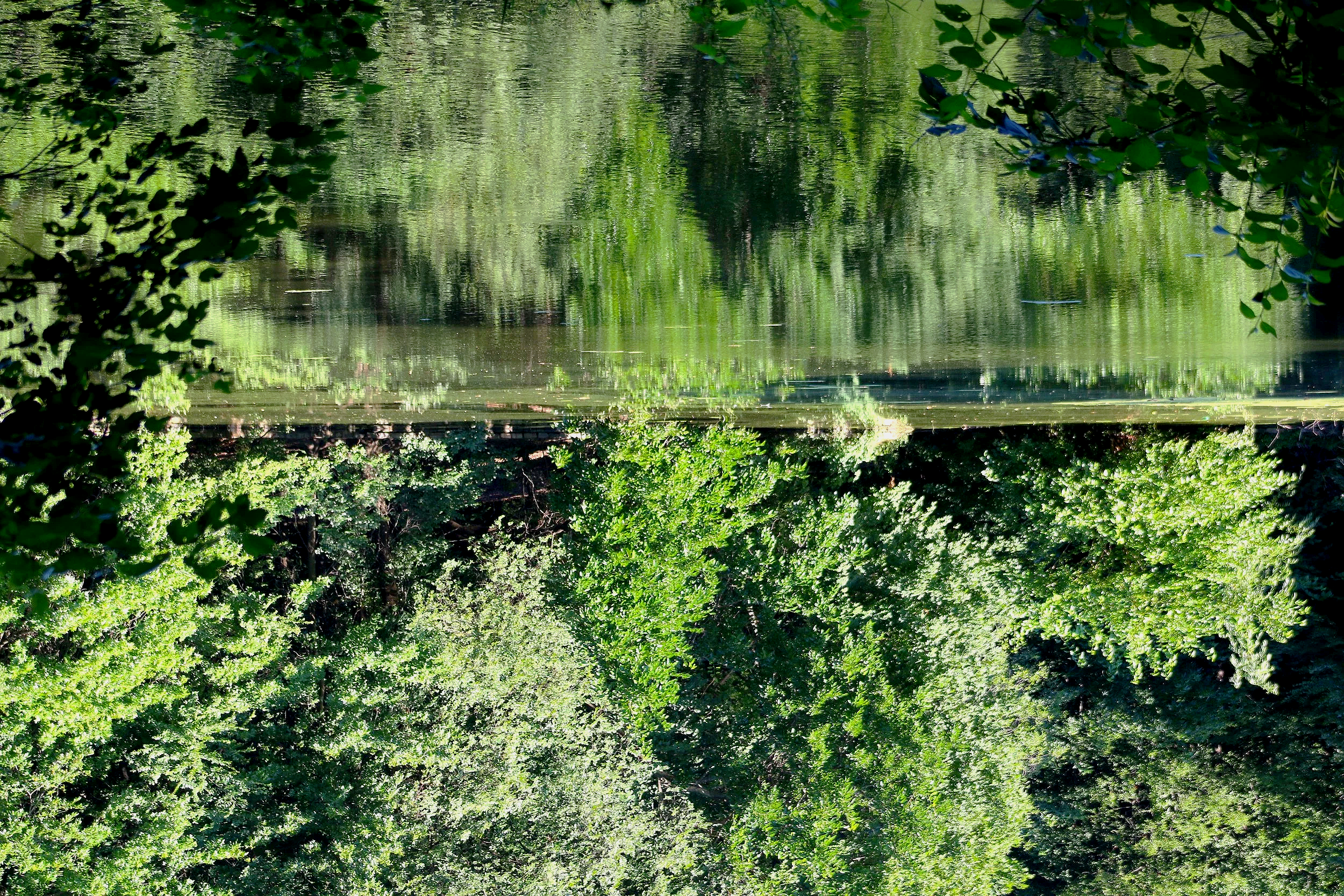 IMG_8669.png