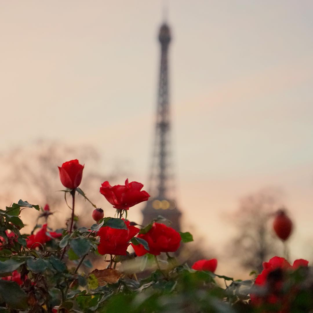 Photography by Mico Saad