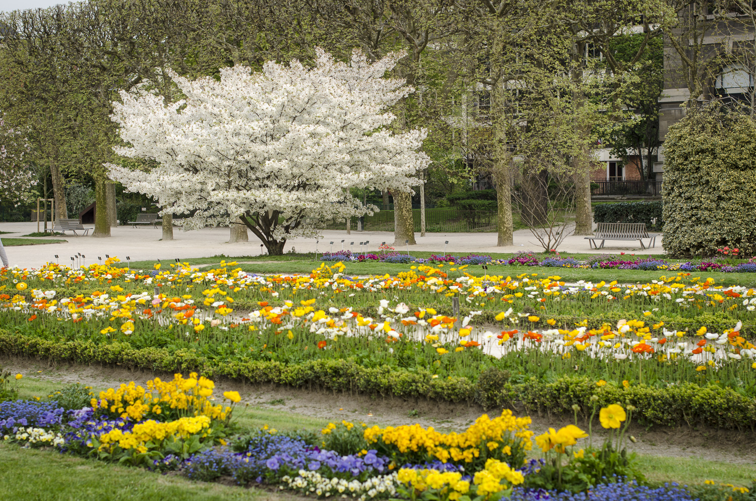 Jardin des Plantes - Photography : Alexander J.E. Bradley - Nikon D7000 -Nikkor 50mm f1/4 - F/4 - 1/100 - ISO:100
