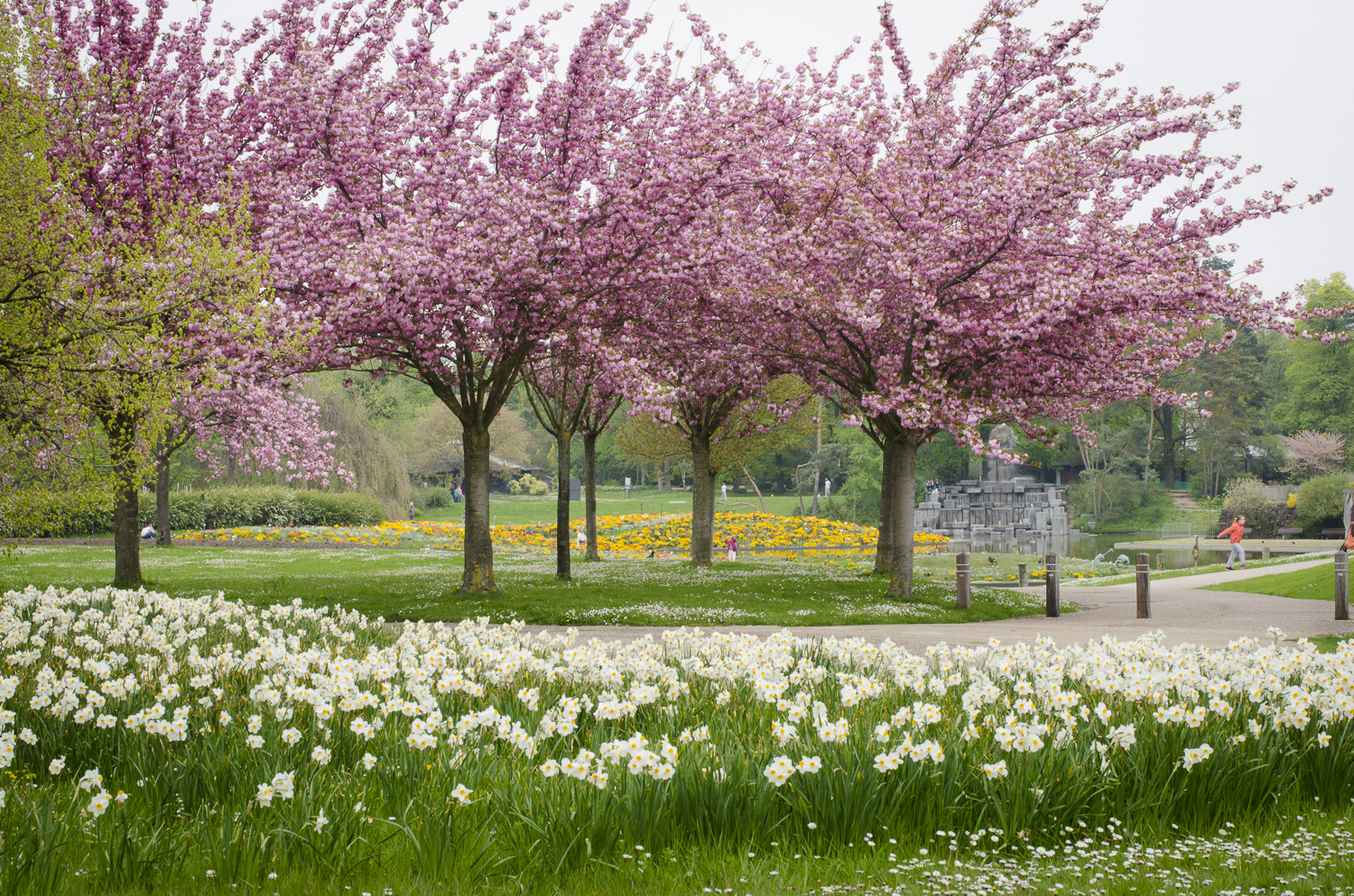 Parc Floral de Paris, Bois de Vincennes - Photography : Alexander J.E. Bradley - Nikon D7000 -Nikkor 500mm f/1.4 - F/16 - 1/30 - ISO:100