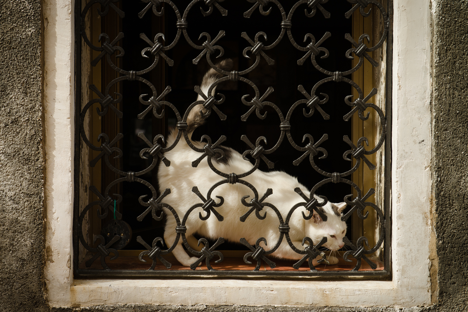 PHOTOGRAPHY : WILLIAM LOUNSBURY - NIKON D800 - NIKKOR 24-70MM F/2.8 @ F/7.1 - 1/500 - ISO 200