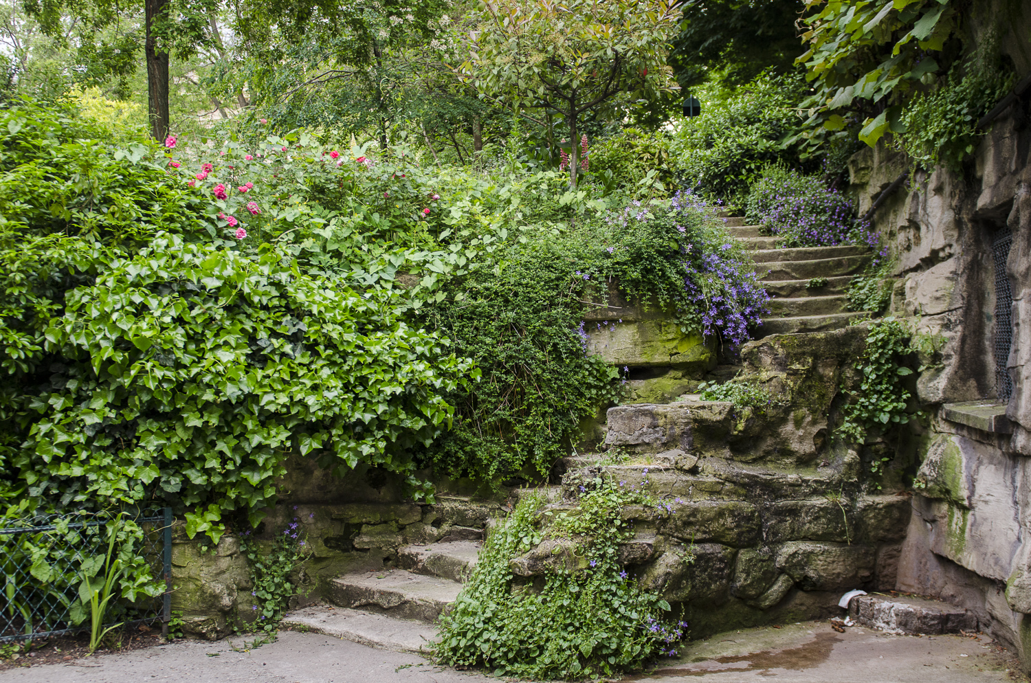 Le jardin de la Nouvelle-France - PHOTOGRAPHY : ALEXANDER J.E. BRADLEY - NIKON D7000 - NIKKOR 24-70MM F/2.8 @ 24mm - F/2.8 - 1/125 - ISO:500