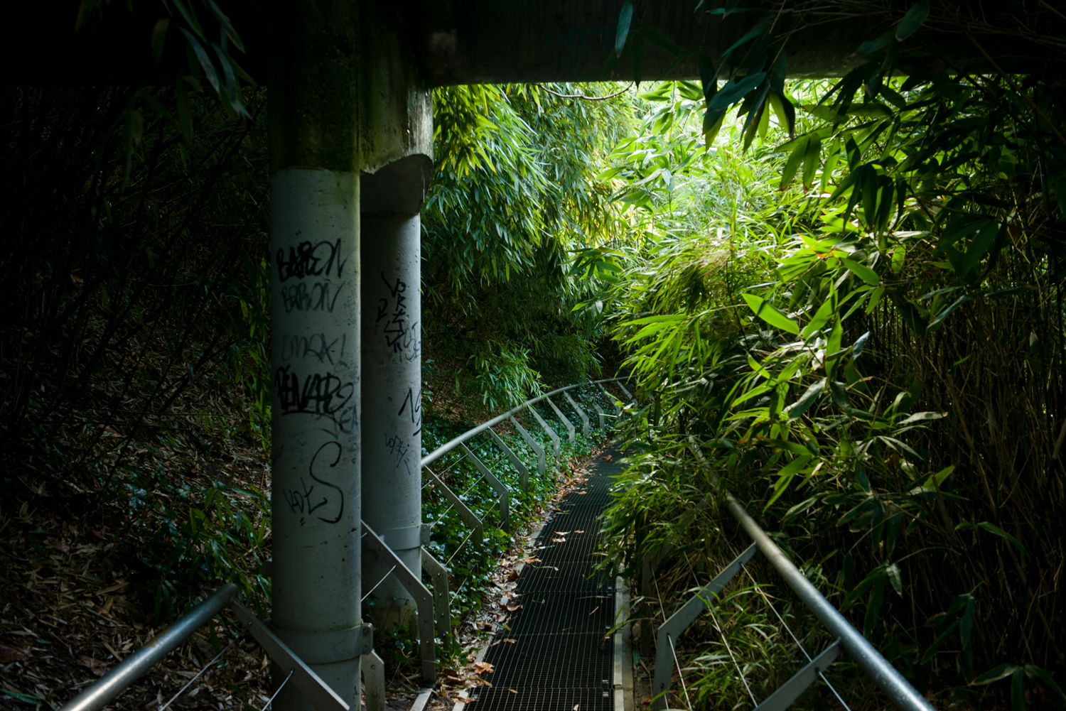 Jardin des bambous - PHOTOGRAPHY : William Lounsbury - NIKON D800 - NIKKOR 24-70MM F/2.8 @ 38mm - F/5.6 - 1/30 - ISO:400