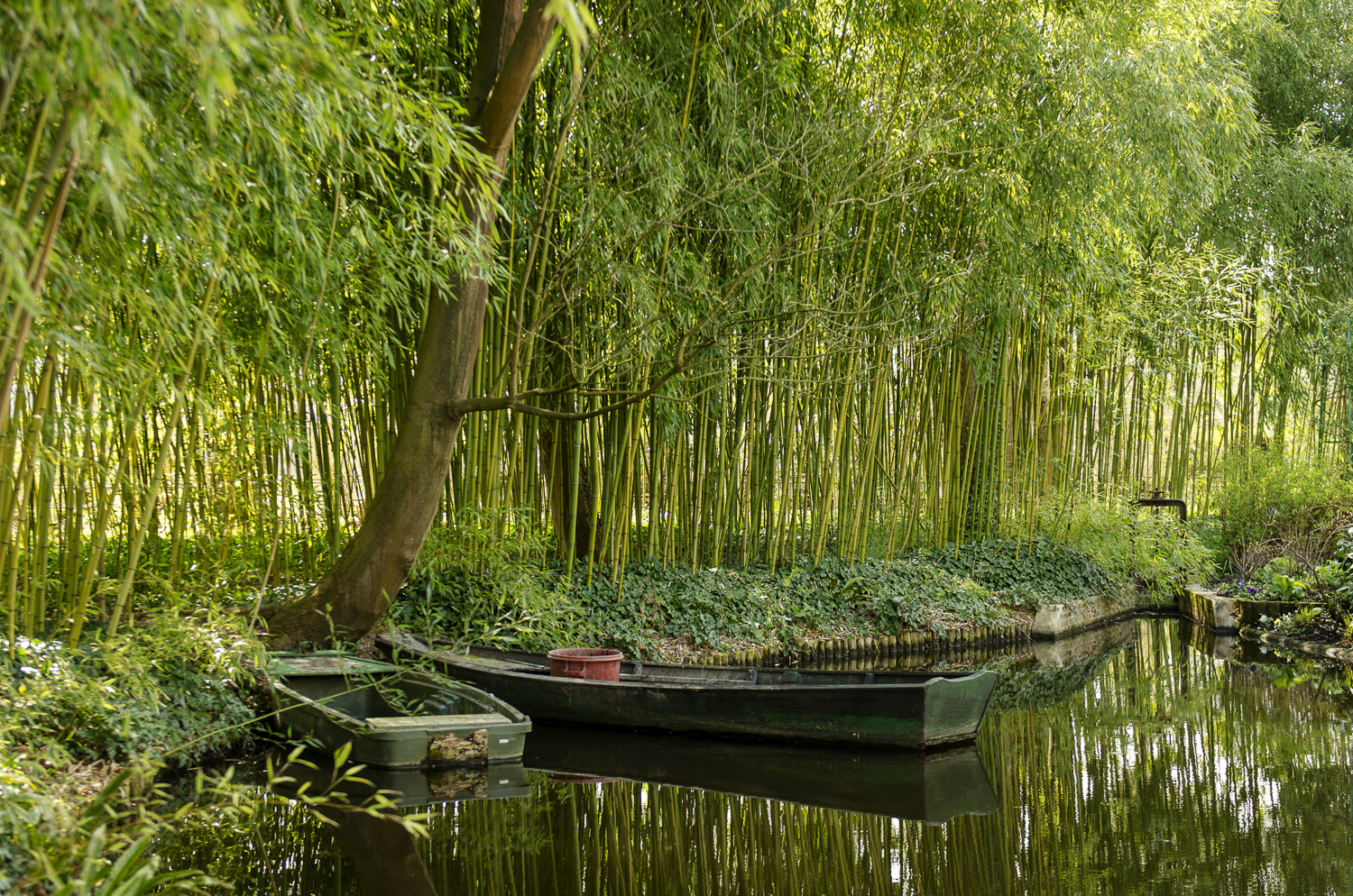 The Water Lily Pond - Photo: Alexander J.E. Bradley - Nikon D7000 - 24-70mm f/2.8 @ 40mm - f/2.8 - 1/160 - ISO 100