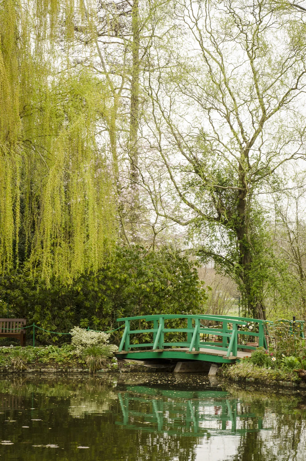 The Water Lily Pond - Photo: Alexander J.E. Bradley - Nikon D7000 - 24-70mm f/2.8 @ 62mm - f/11 - 1/60 - ISO 200