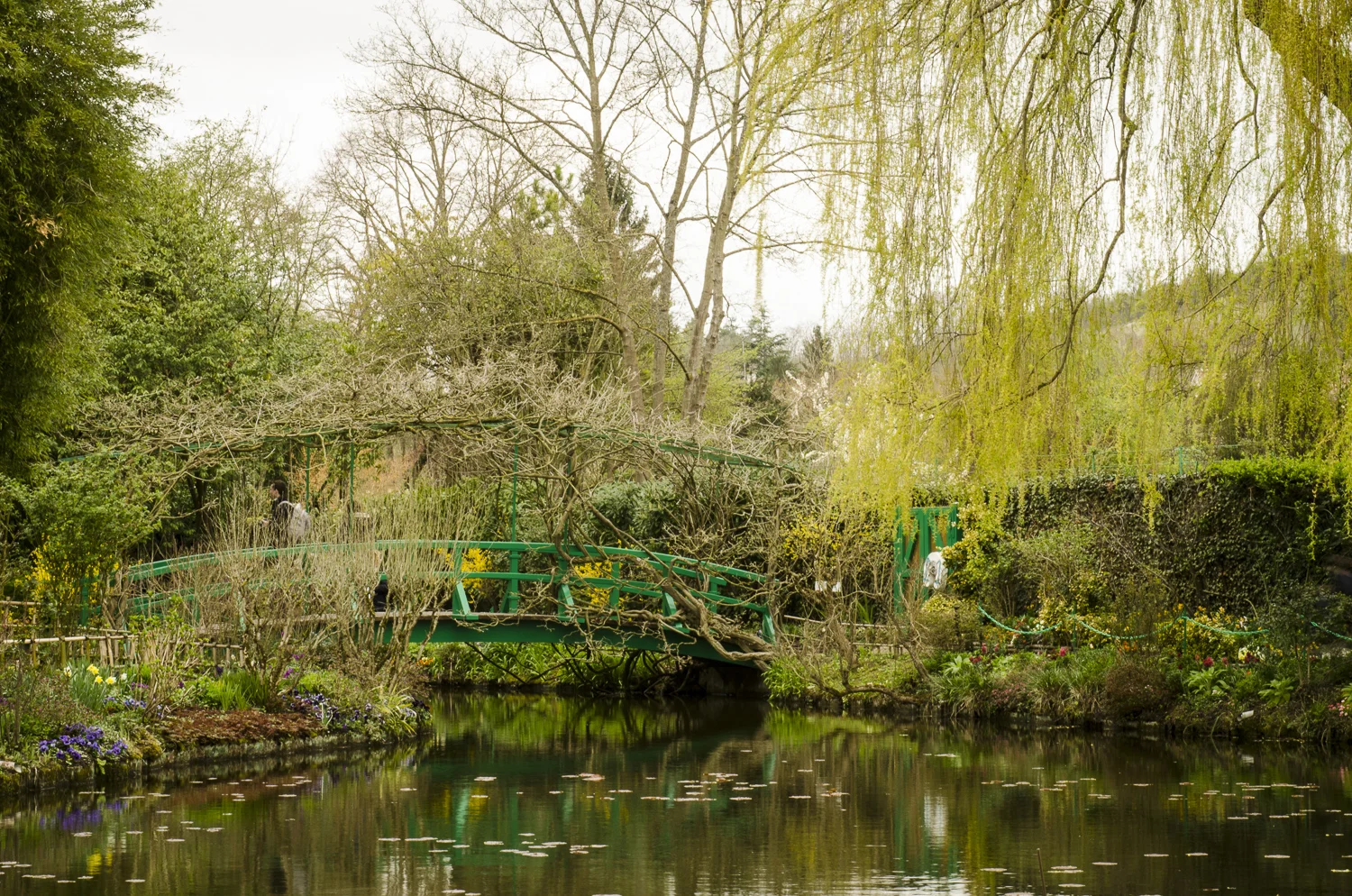 The Water Lily Pond - Photo: Alexander J.E. Bradley - Nikon D7000 - 24-70mm f/2.8 @ 62mm - f/22 - 1/10 - ISO 100