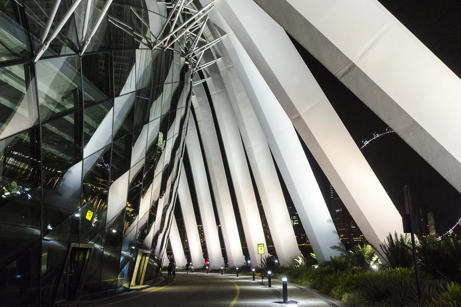 singapore-web-019.jpg