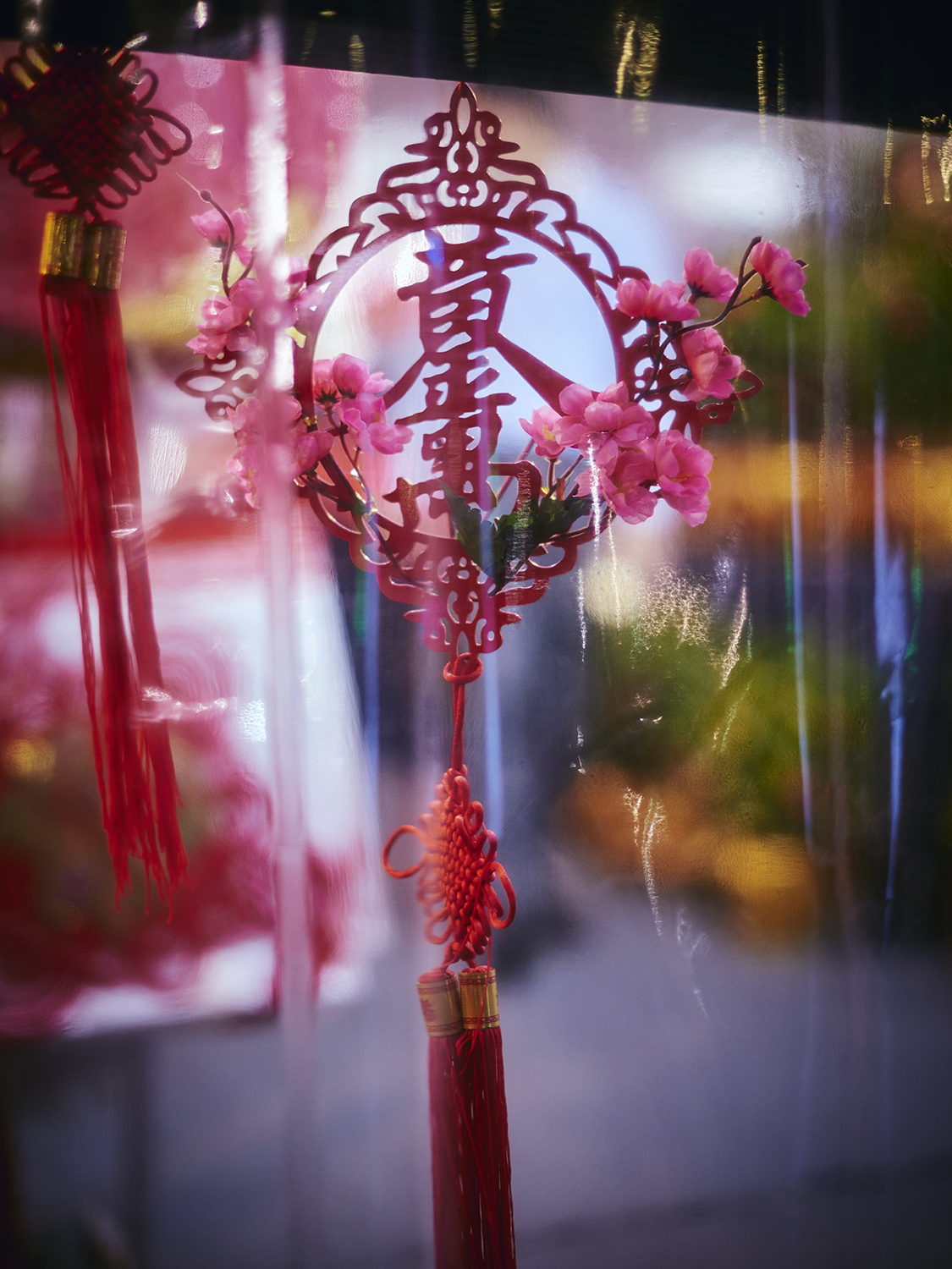 PHOTOGRAPHY : LIKHITHA (ANYA) MURALIKRISHNA - NIKON D810 - NIKKOR 50MM F/1.4 @ F/2 - 1/125 - ISO 500