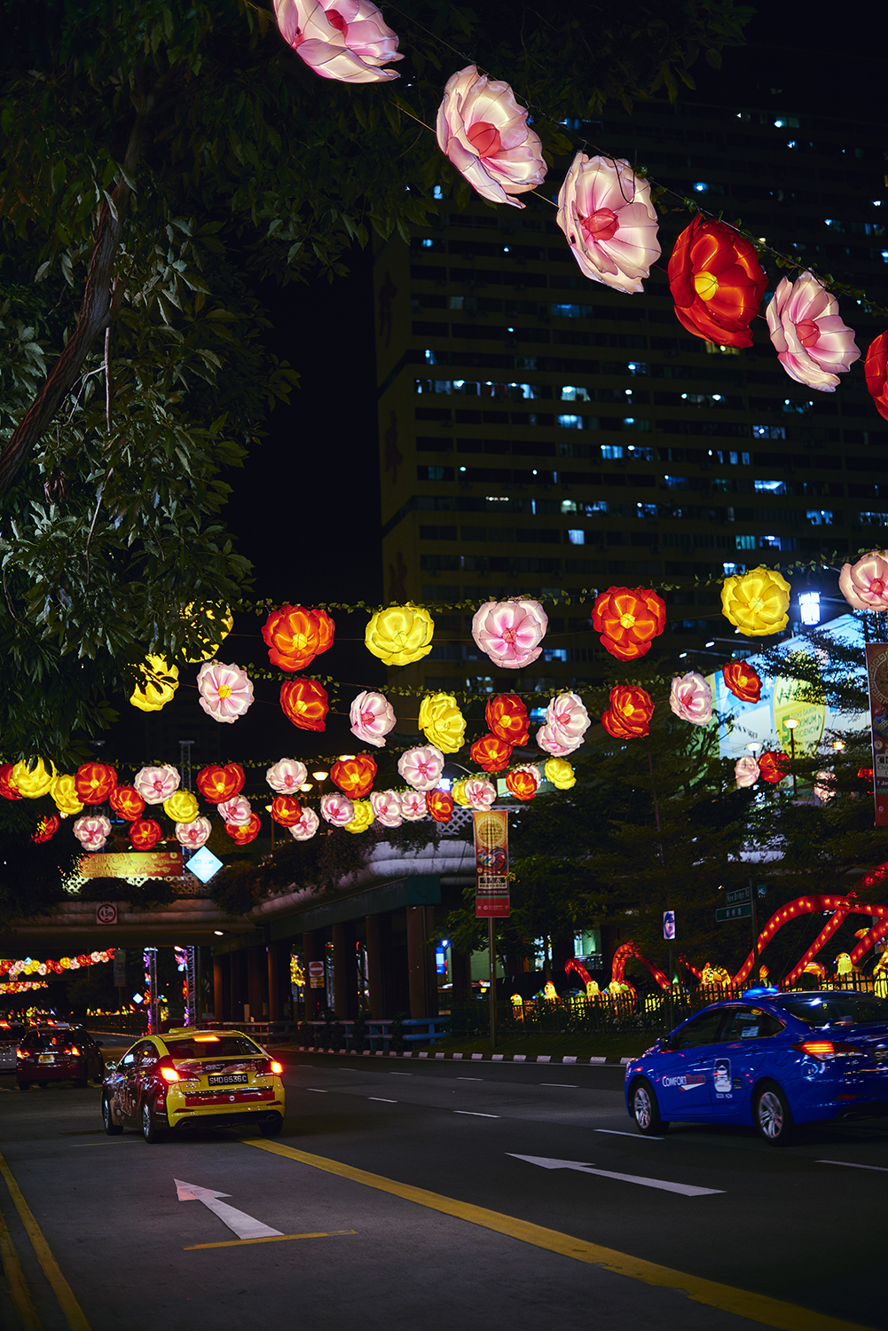 Street Light Up - PHOTOGRAPHY : LIKHITHA (ANYA) MURALIKRISHNA - NIKON D810 - NIKKOR 50MM F/1.4 @ F/1.4 - 1/125 - ISO 250