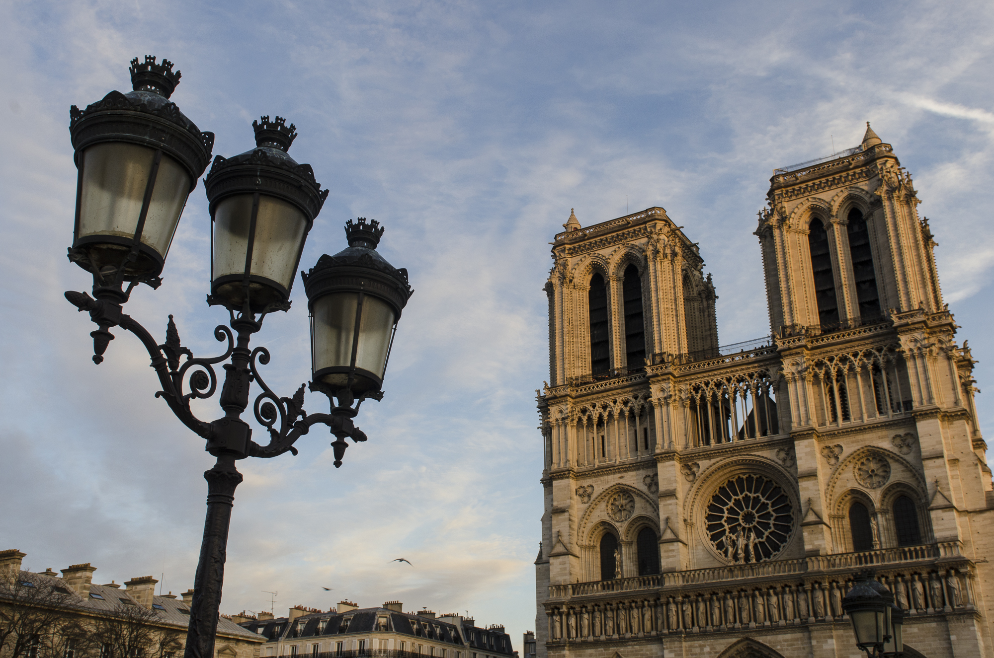 The lanterns fill the empty part of the sky and ballance the picture with Notre Dame on the right. Photo by Alexander J.E. Bradley.