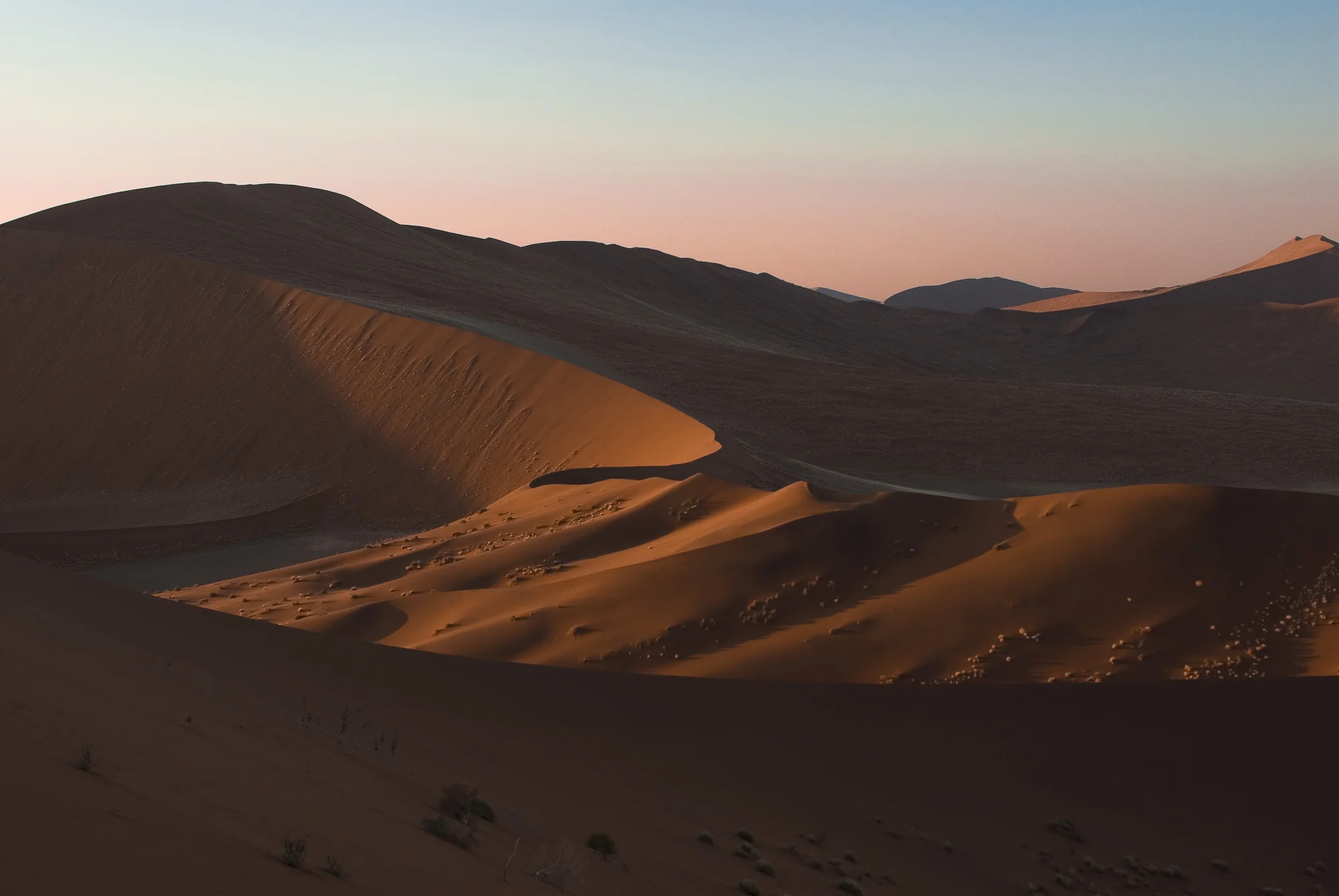 The Namib - Namibia PHOTOGRAPHY: ALEXANDER J.E. BRADLEY • NIKON D200 • Nikon AF Zoom-Nikkor 35-70mm Ƒ/2.8D @ 35MM • Ƒ/7.1 • 1/180 • ISO 100