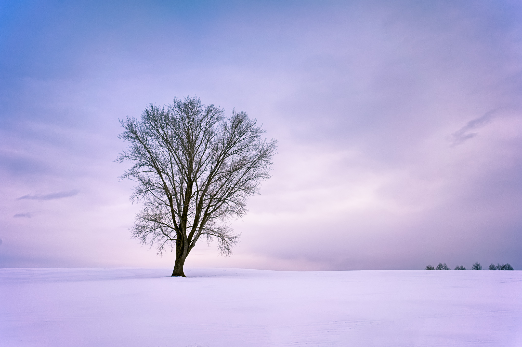 PHOTOGRAPHY: ANDY YEE • Sony α7R • E 10-18MM Ƒ/4 OSS @ 17MM • Ƒ/11 • HDR • ISO 80