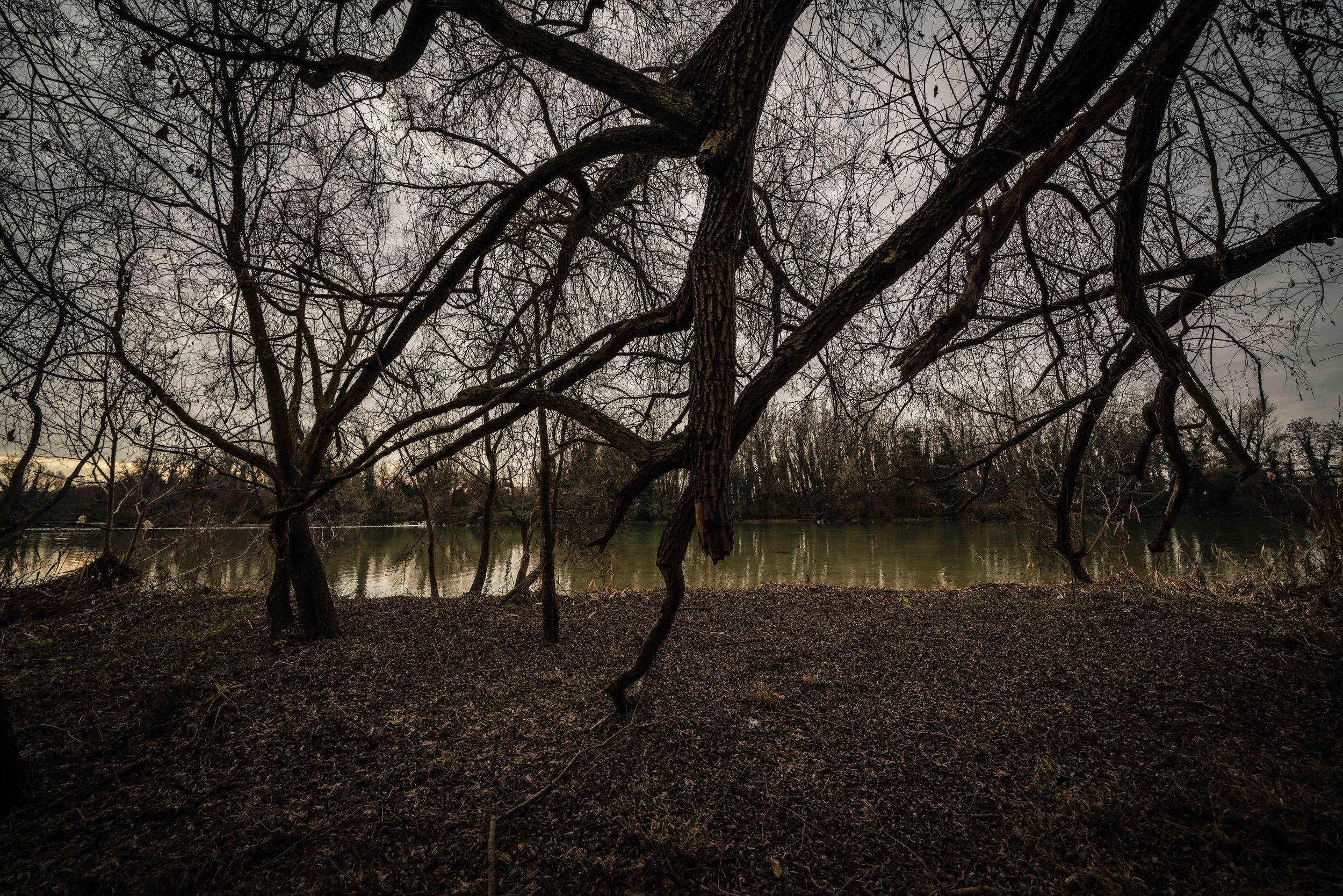 PHOTOGRAPHY: Mirko Fin • Sony Alpha 7R MkIII • Sony FE 12-24mm Ƒ/4 G @ 12mm • Ƒ/5.6 • 1/200• ISO 100