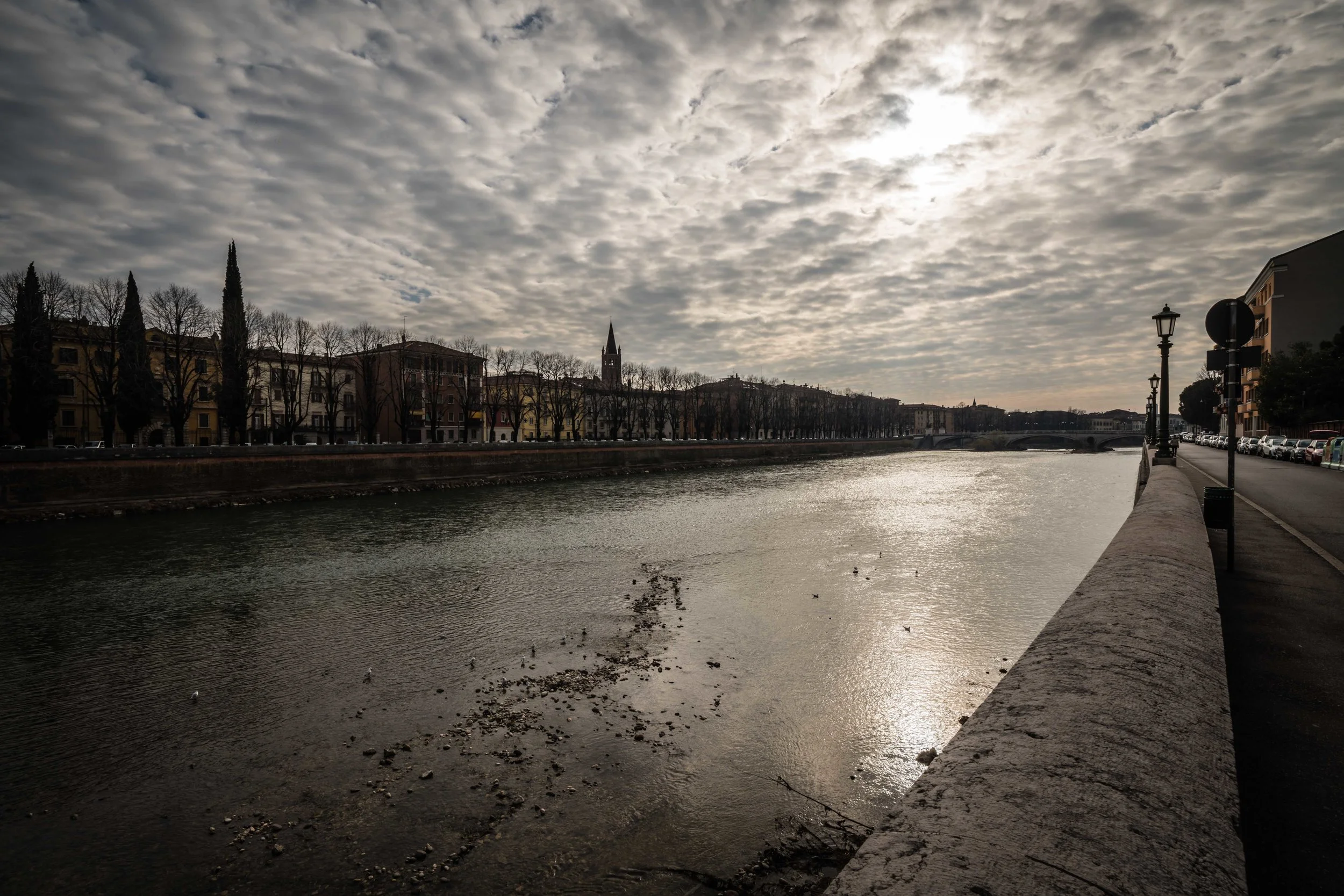 PHOTOGRAPHY: Mirko Fin • Sony Alpha 7R MkIII • Sony FE 12-24mm Ƒ/4 G @ 18mm • Ƒ/16 • 1/125• ISO 100