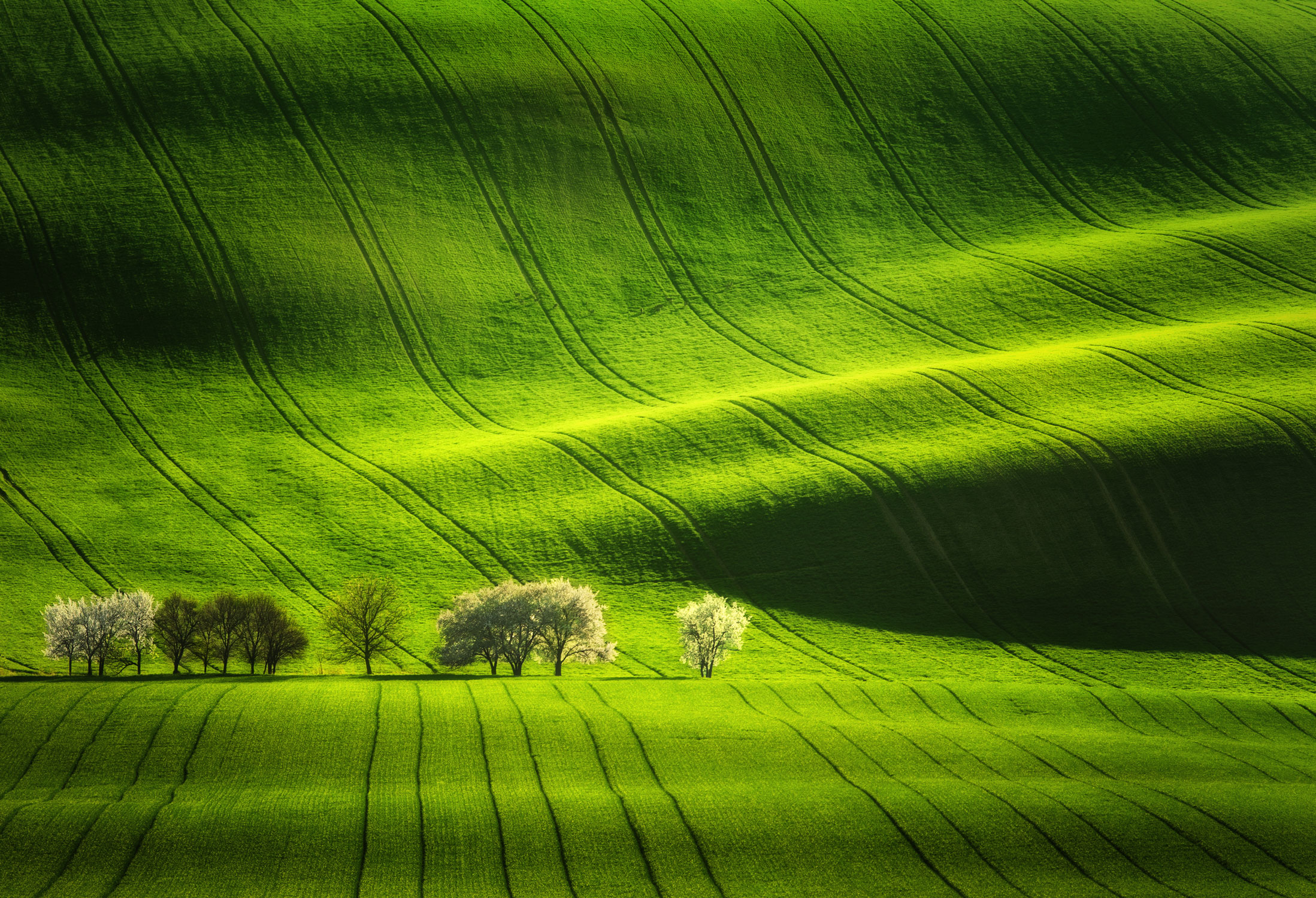 moravian tuscany fields Photography: Martin Bisof