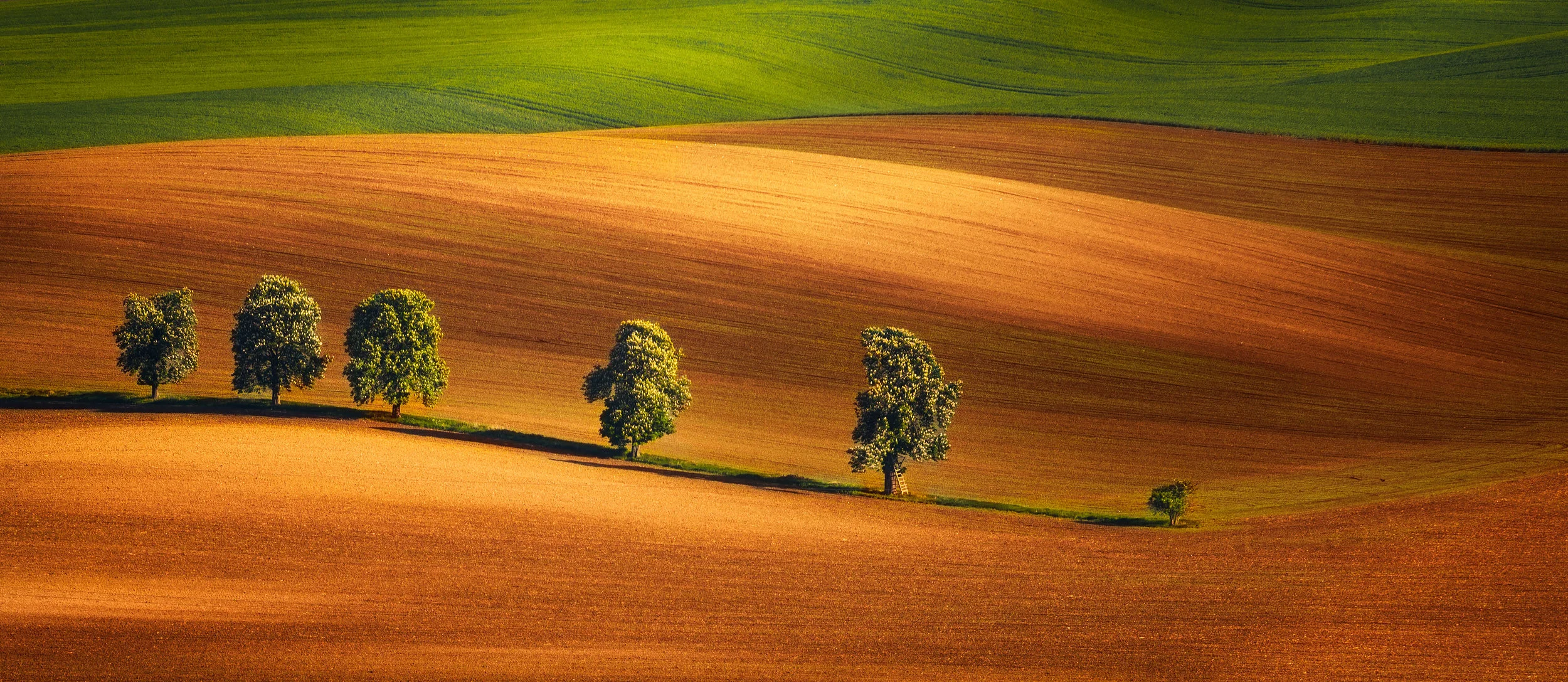 moravian tuscany fields Photography: Martin Bisof