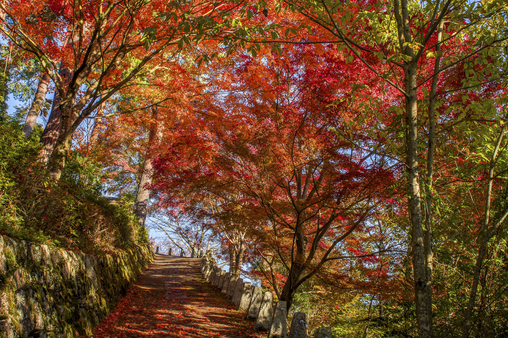 Mount Yoshino