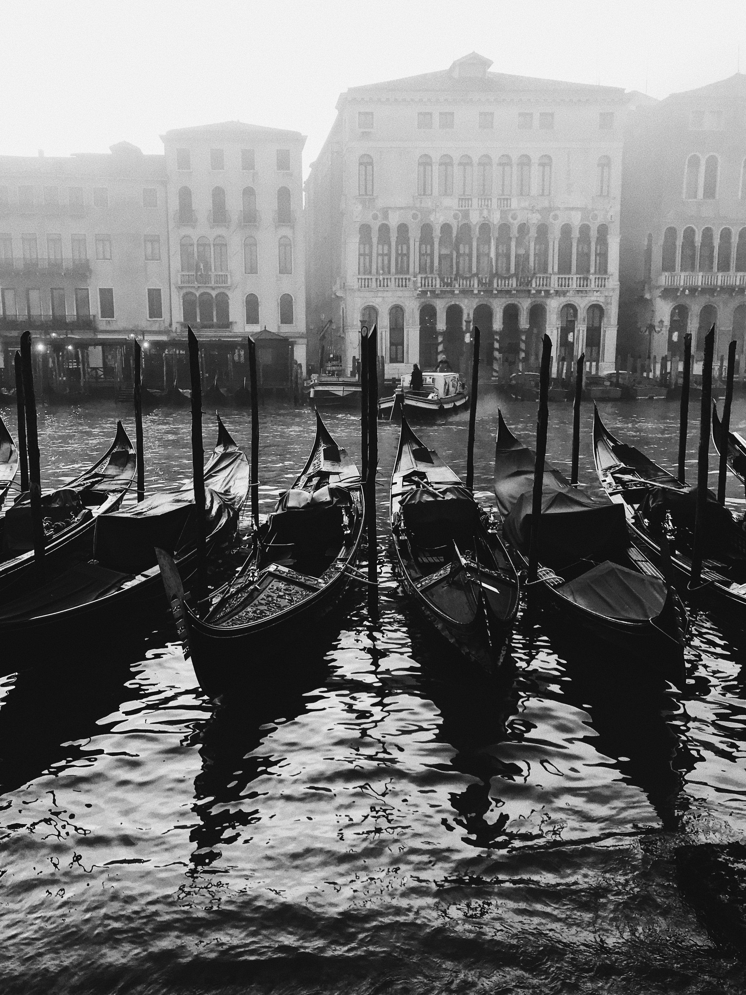 Photo: Alvise Busetto • Apple iphone 7 plus @ Ƒ/1.8 • 1/390 • ISO 20