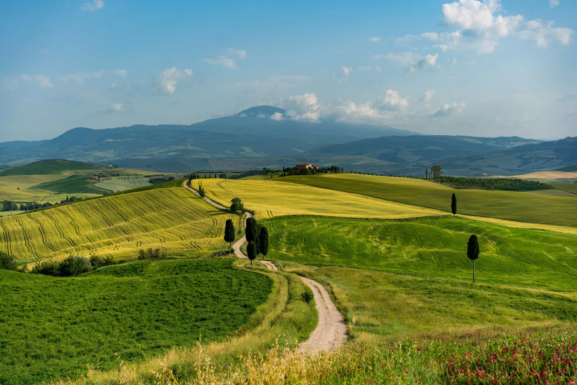 Gladiator Road
