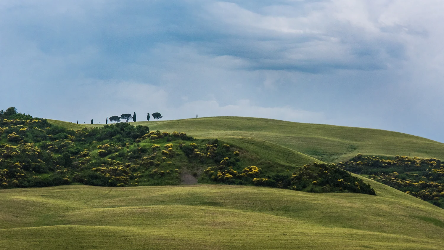 Val d’Orcia PHOTO: ANNA VOLPI • NIKON D750 • 105mm Ƒ/2.8 @ Ƒ/11 • 1/4000 • ISO 2000