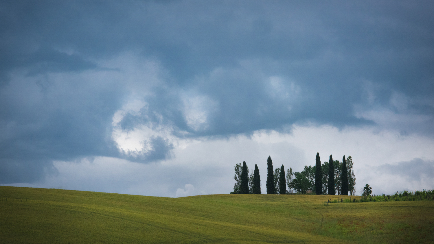 Val d’Orcia PHOTO: ANNA VOLPI • NIKON D750 • 105mm Ƒ/2.8 @ Ƒ/18 • 1/1600 • ISO 2000