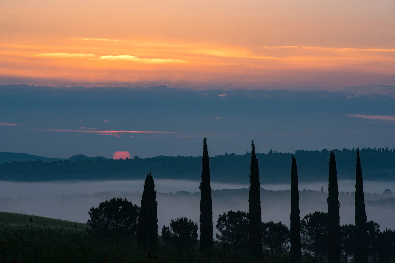 Strada in Chianti PHOTO: ANNA VOLPI • NIKON D750 • 105mm Ƒ/2.8 @ Ƒ/5.6 • 1/4000 • ISO 100