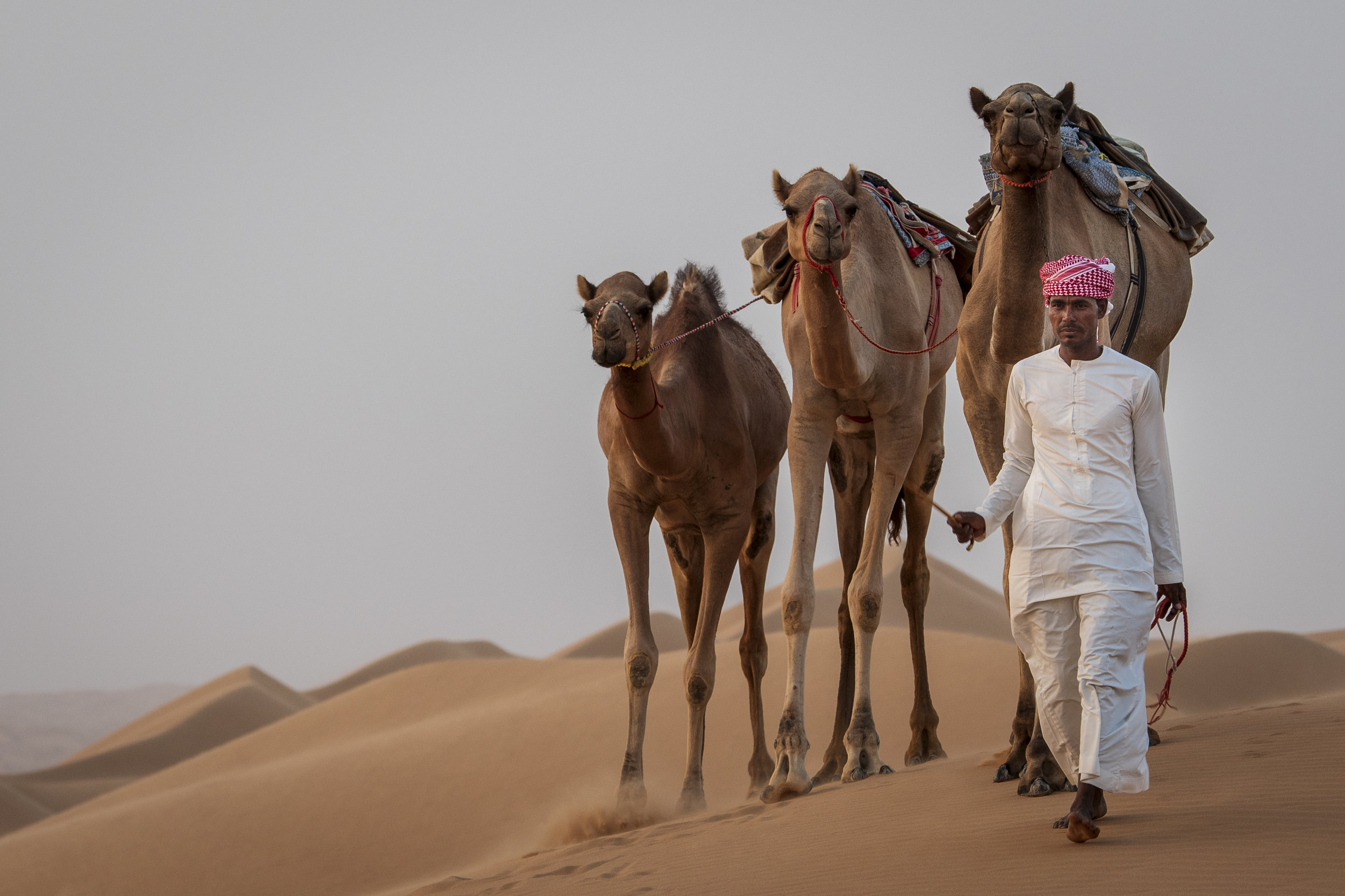 The Bedouin Camel Herder PHOTOGRAPHY: Alexander J.E. Bradley • Nikon D500 • AF-S NIKKOR 70-200mm ƒ/2.8 FL ED VR @ 116MM • Ƒ/5.6 • 1/125 • ISO 200