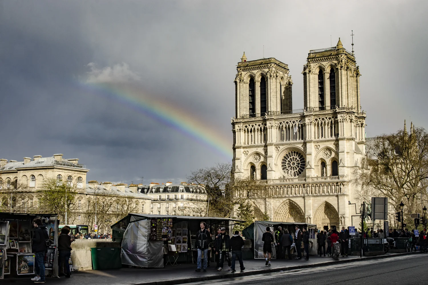 An Ode to Notre-Dame de Paris — Aperture Tours