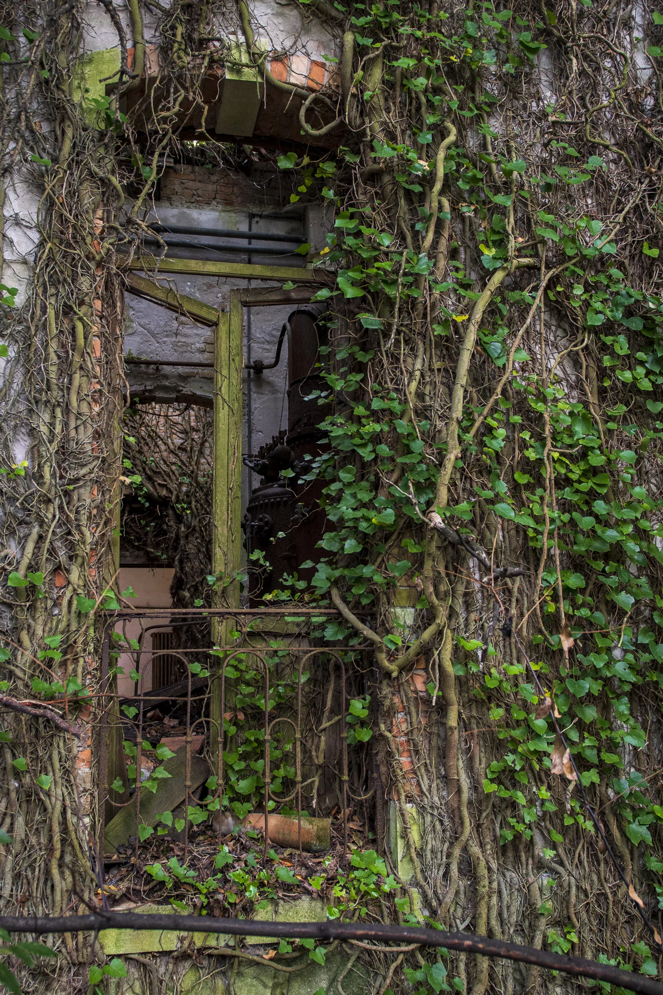 Poveglia PHOTOGRAPHY: ALEXANDER J.E. BRADLEY • NIKON D500 • AF-S NIKKOR 24-70MM Ƒ/2.8G ED @24MM • Ƒ/2.8 • 1/125 SEC • ISO 400