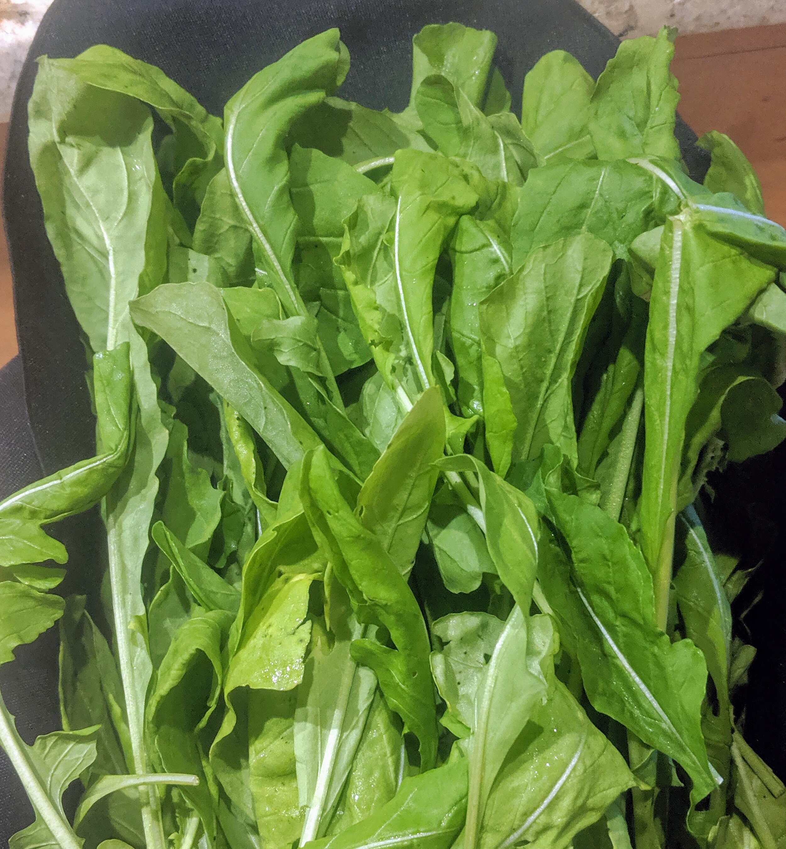 arugula2.jpg