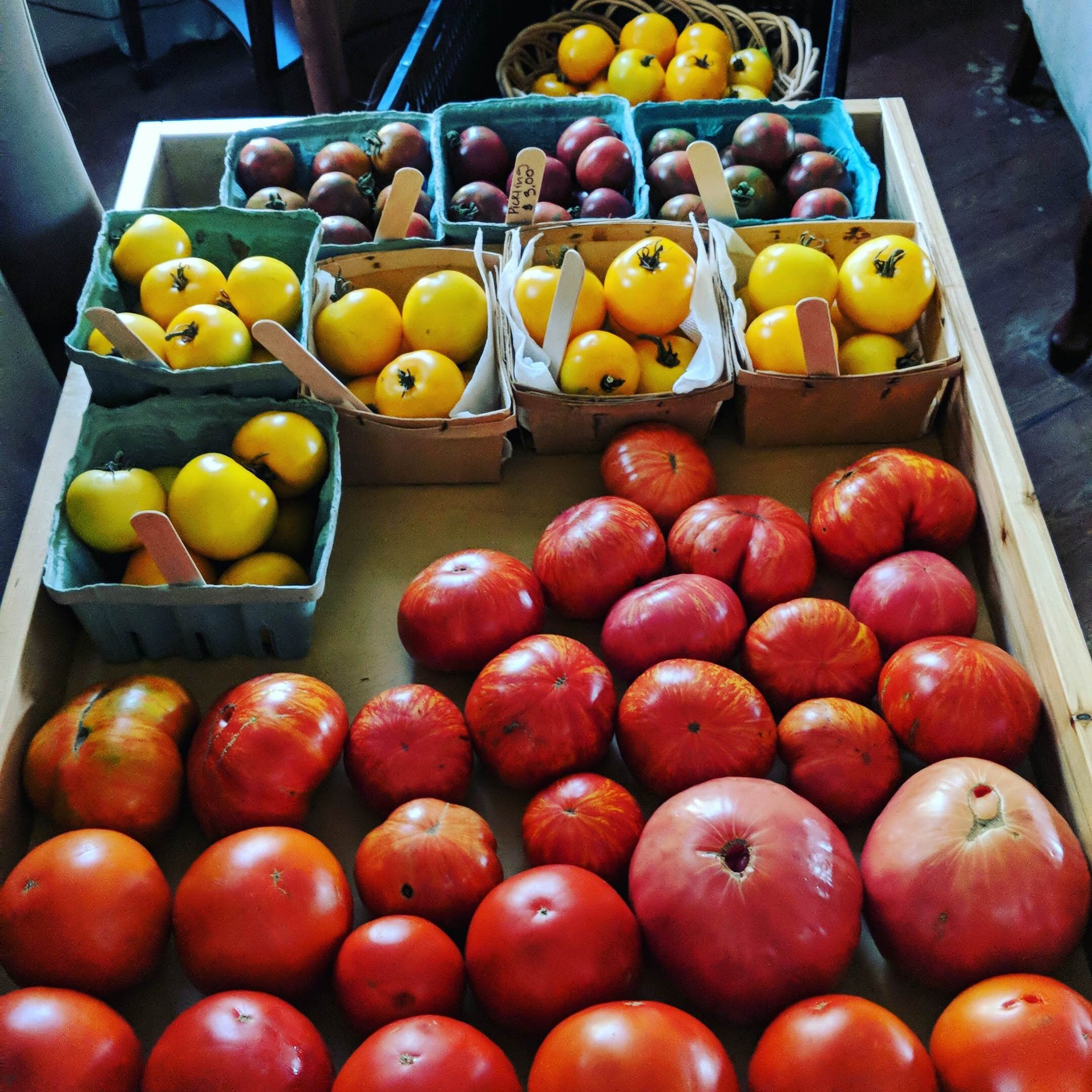 tomatos at market.jpg