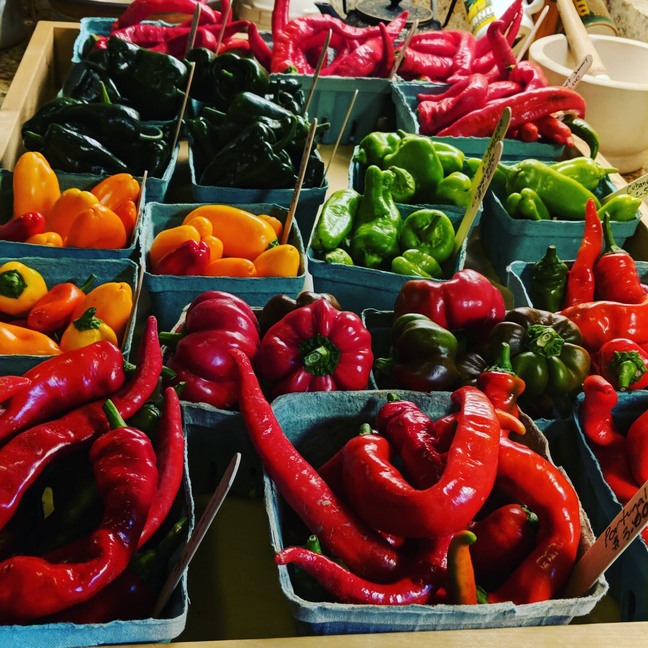 peppers at market.jpg