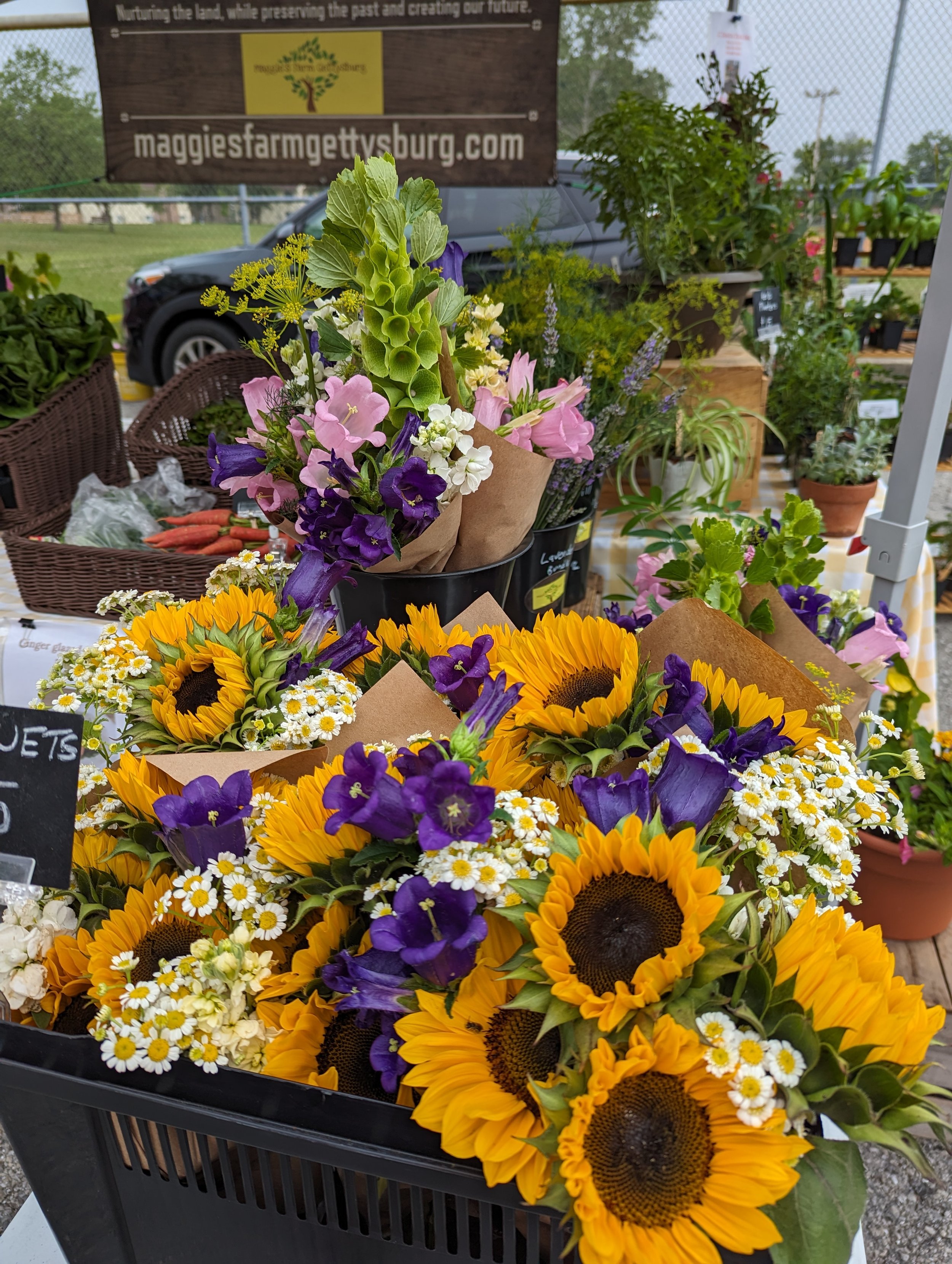 sunflowers at market 2023.jpg