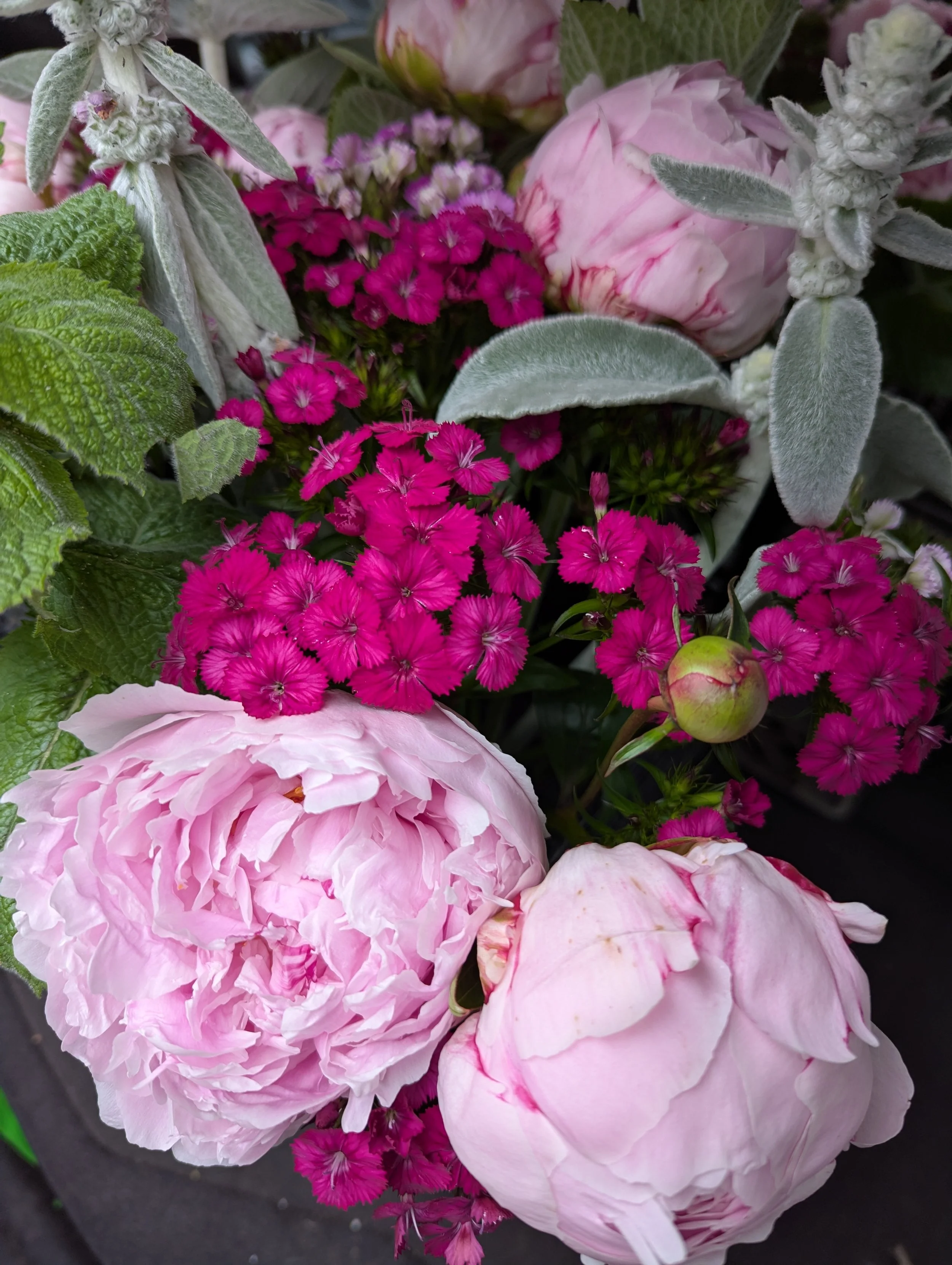 peonies at market.jpg