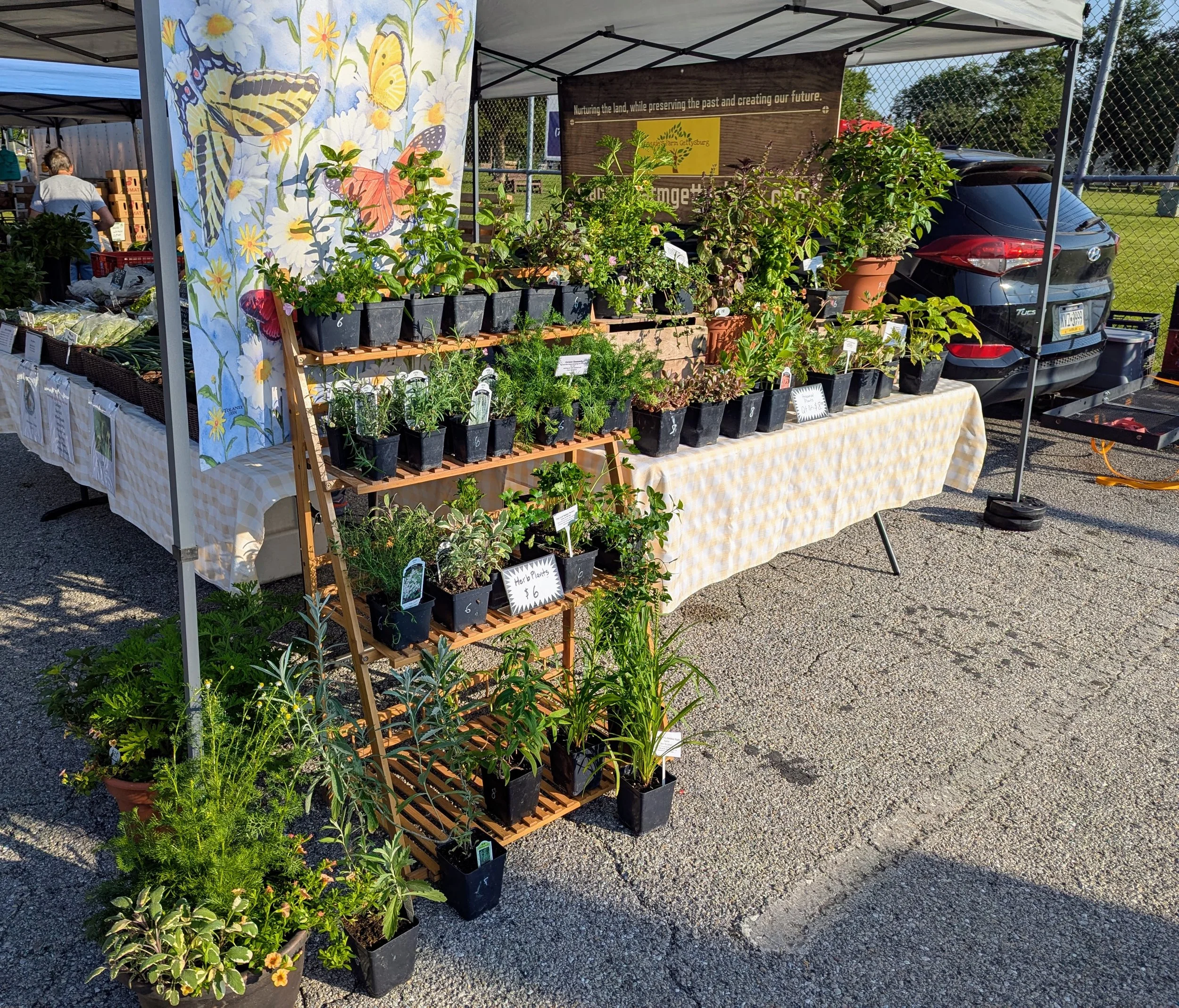 herbs at market.jpg
