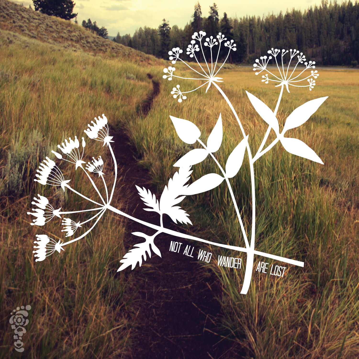 web graphic created for Run Pretty Far
