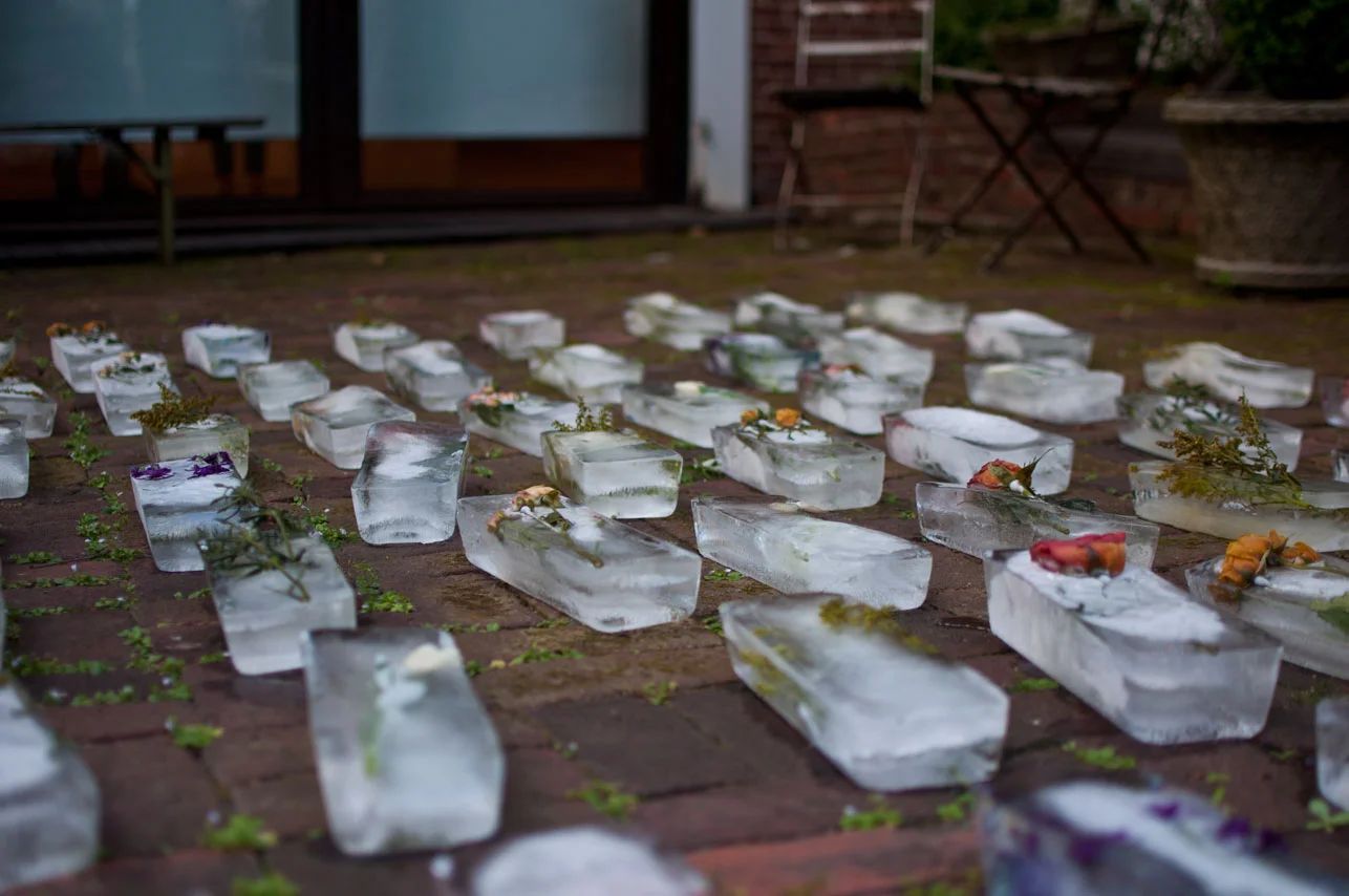 ever remnants cut flowers and ice