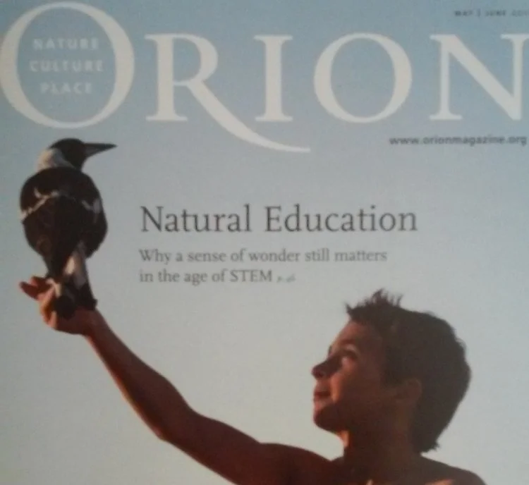 Orion.jpg
