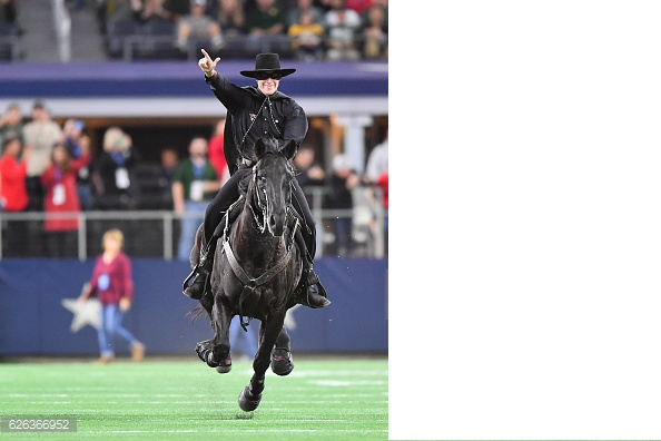 horse cropped.png